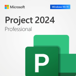 Project 2024 Professional