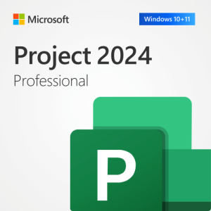 Project 2024 Professional